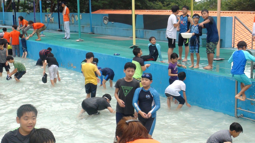 34th_boys_element_exp (2)