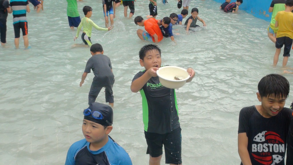34th_boys_element_exp (3)
