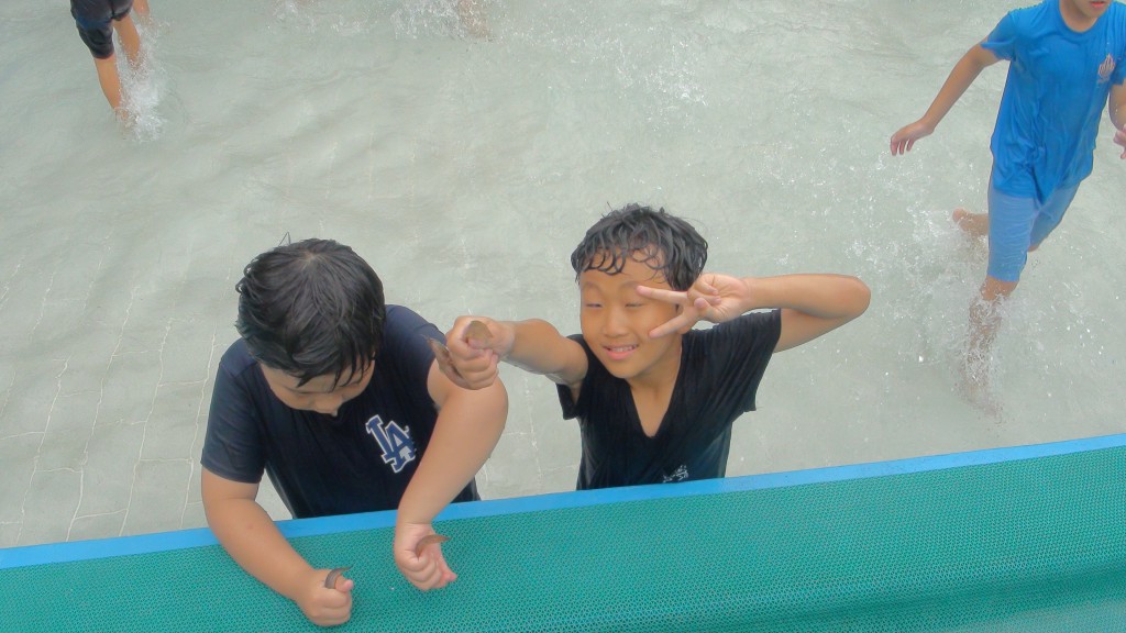 34th_boys_element_exp (4)