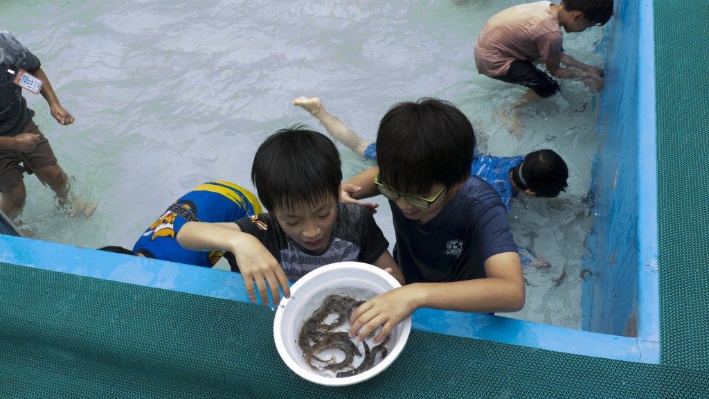 34th_boys_element_exp (40)