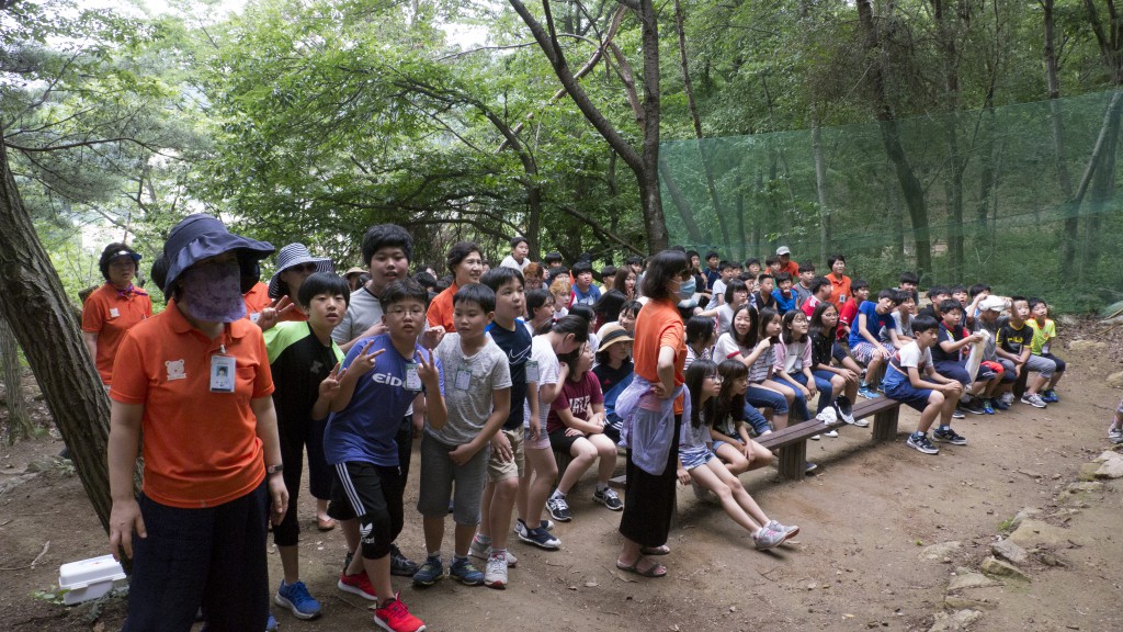 34th_boys_element_exp (48)