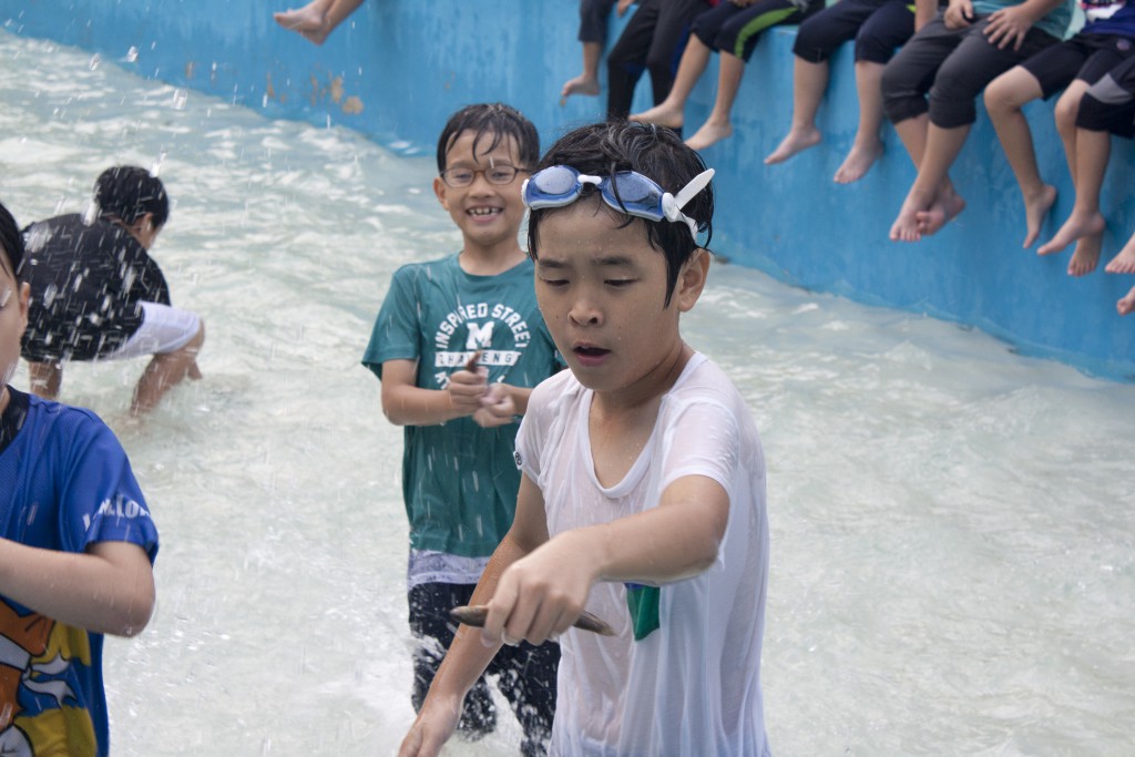 34th_boys_element_outdoor (58)