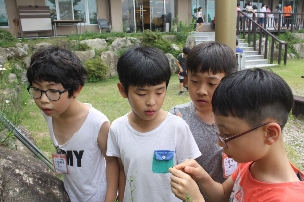 34th_element_act (9)