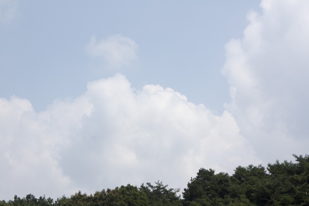 34th_mid_ (25)