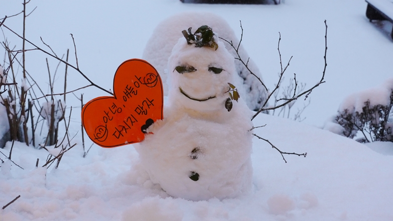 snowman camp teacher