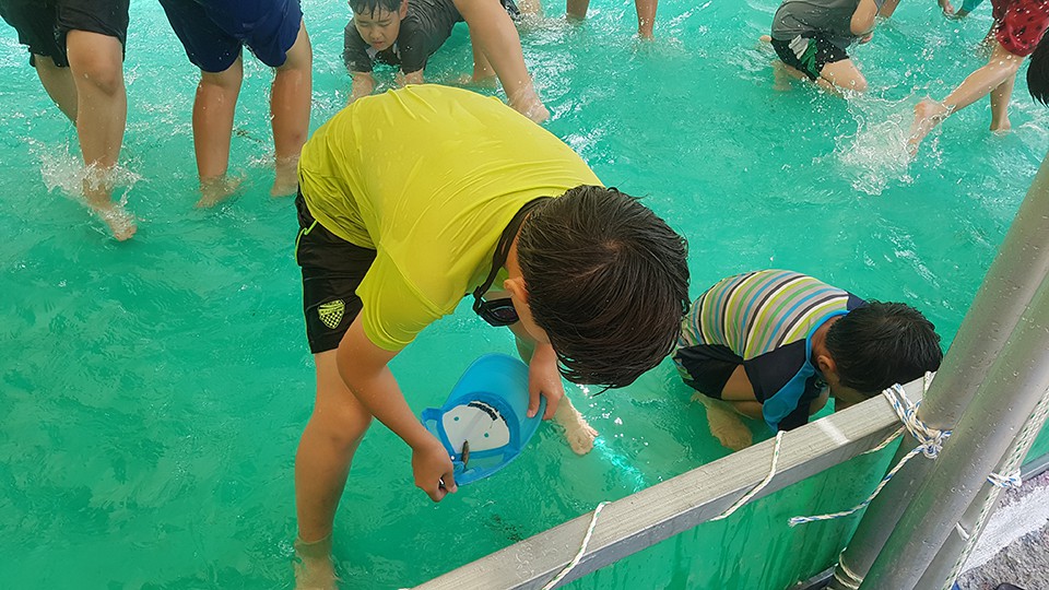 36th-youthcamp-ele-day5 (27)